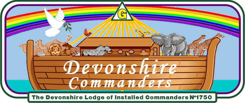 Devon Commanders logo